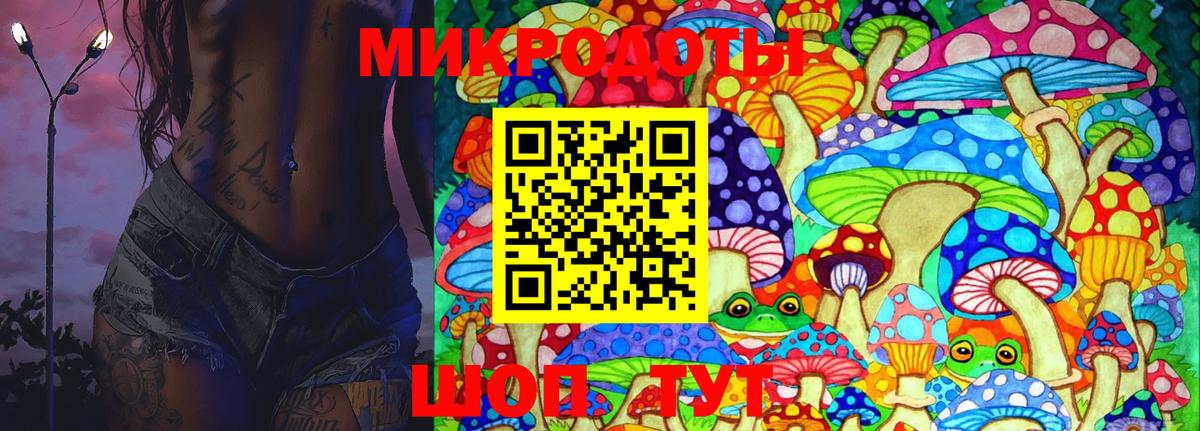 где купить наркотик  Псилоцибиновые грибы прущие грибы  Галлюциногенные грибы GOLDEN TEACHER  Вход с VPN  Димитровград 