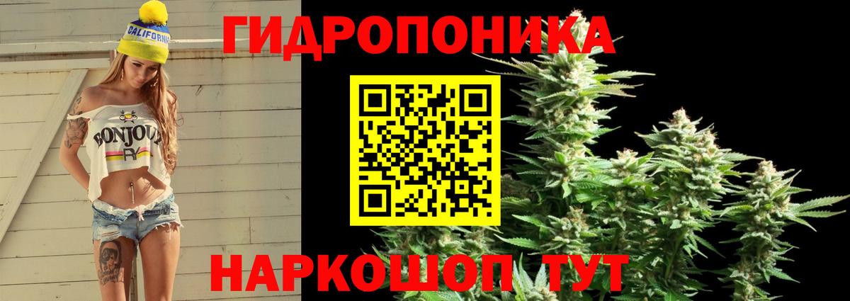 Бошки Шишки Димитровград